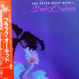 THE PETER MOON BAND